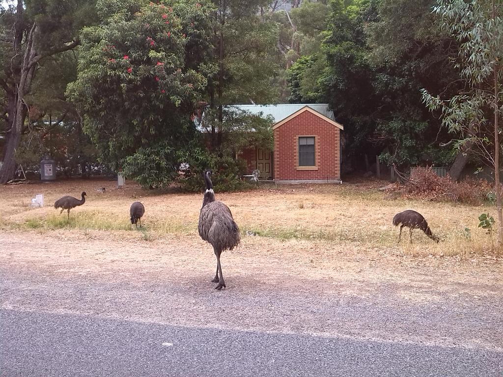 Heatherlie Cottages Halls Gap Exteriér fotografie