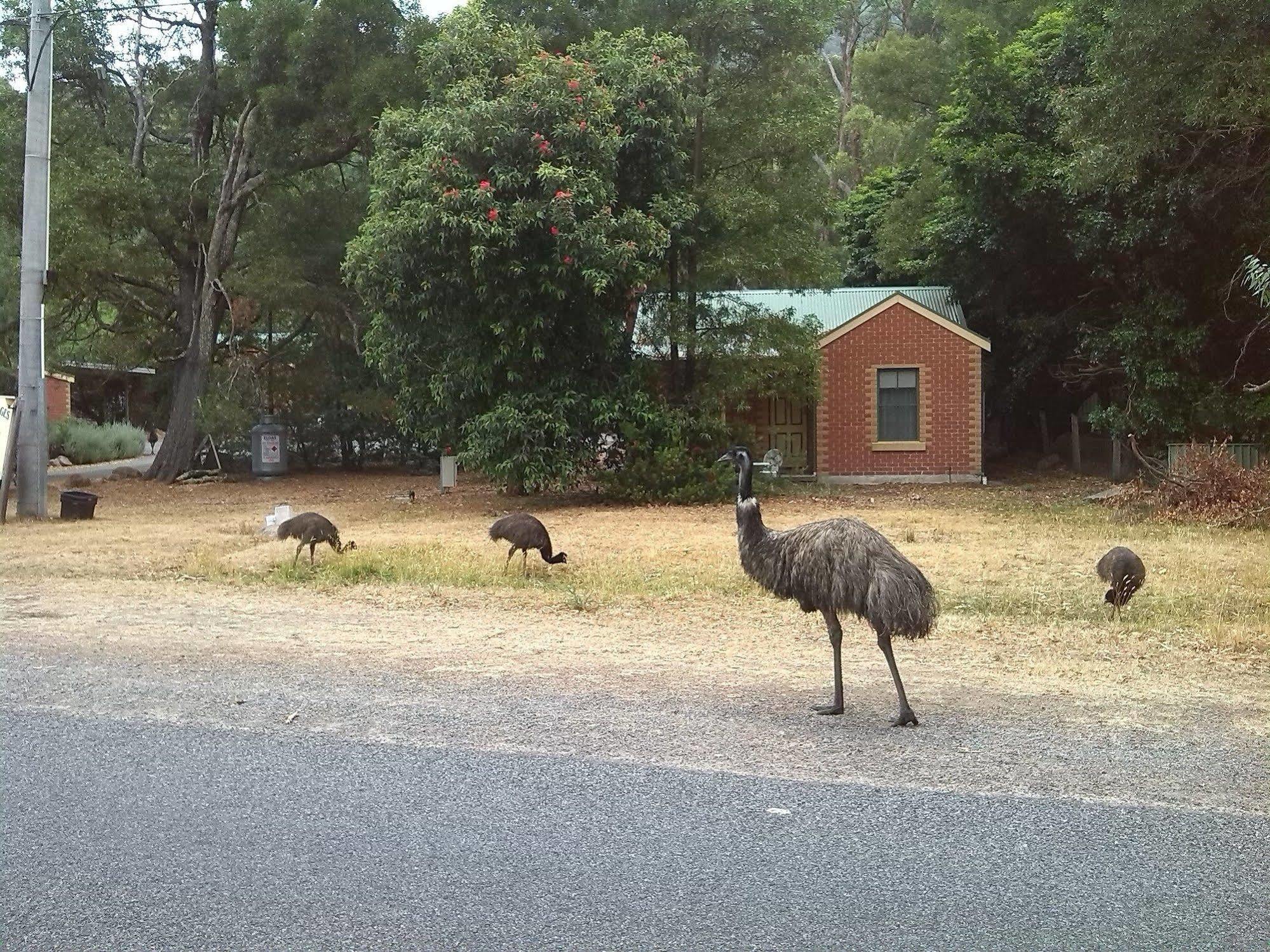 Heatherlie Cottages Halls Gap Exteriér fotografie